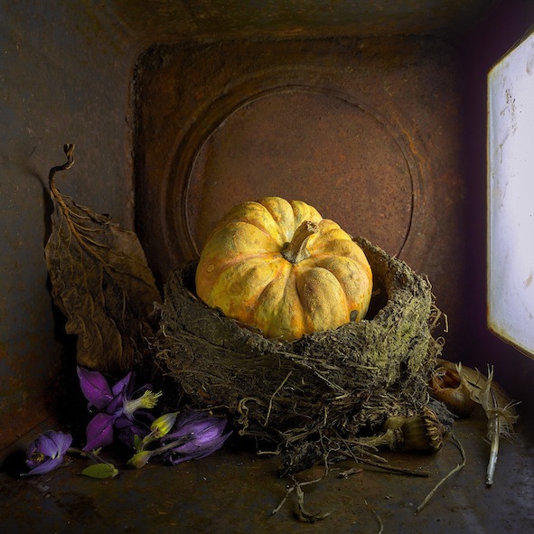 Simon Schollum |Through the Looking Glass |Small Room series   Gourd | Photography| McATamney Gallery and Design Store | Geraldine NZ